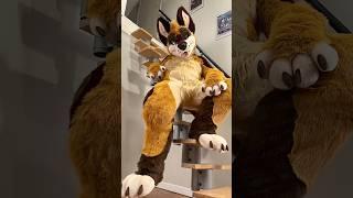 My Fursuit Maker CALLED ME OUT  | #furry #fursuit #fursuitmaker