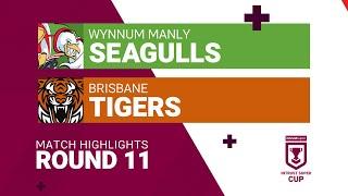 Wynnum Manly v Tigers - Intrust Super Cup match highlights - Round 11, 2021