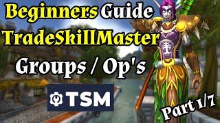 Beginner Groups and Operations w/ TradeSkillMaster (TSM) In WoW Gold Making Part 1 of 7