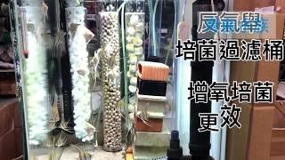 反氣舉培菌過濾桶 K1翻滾濾桶 氣動式水妖精 增氧淨水 實用展示