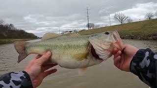 Catching a GOOD fish in TOLIET WATER... Oakley Takes a plunge...