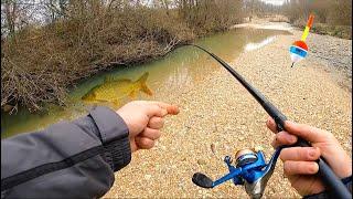 GROSSI PESCI CATTURATI A VISTA IN POCA ACQUA! Pesca alla Passata Invernale in Fiume con il Lombrico