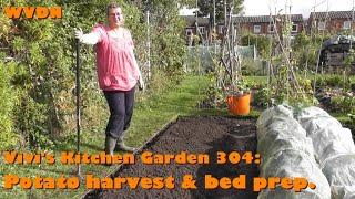 Vivi's Kitchen Garden 304: Potato harvest & bed prep.