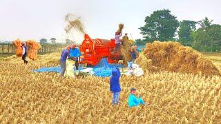 West Bengal Fermers Life || Village Fermer Life || India Rural Life