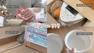 VLOG | 초보 집사의 일주일 일상 브이로그 | 아기 고양이와 친해지기 [미트]