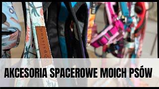 Akcesoria spacerowe moich psów