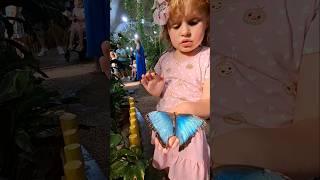 Прекрасные бабочки в Дубае. Butterfly garden Dubai