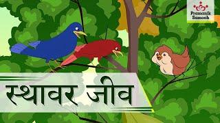 स्थावर जीव | Sthavar Jeev | बाल बोध | जैन कहानियाँ | Jain Story