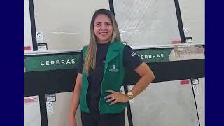 Representante Cerbras - Conceitos Representações