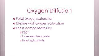 Week 3   Oxygenation