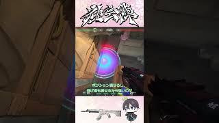 【ロータス】【キルジョイ】TH benjyfishy選手が使ってたC攻め用ナノスワーム！！#valorant #vct #ヴァロラント #ずんだもん #vtuber