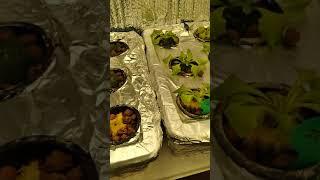 2 hydroponics room video showing plants and lights