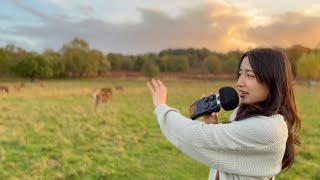 ASMR at Richmond Park | London