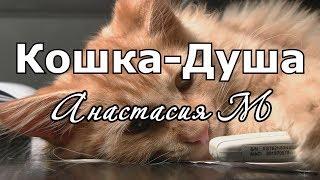 Стихотворение "Кошка-Душа" - Настя_Че (Анастасия М)