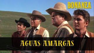 Bonanza | Temporada 1 Episodio 29 | Aguas Amargas