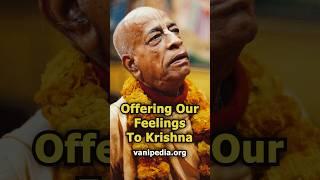 Offering Our Feelings To Krishna - Prabhupada 0615