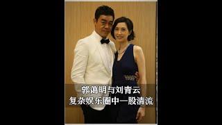 郭藹明與劉青雲，複雜娛樂圈中一股清流#郭藹明 #人物故事 #劉青雲