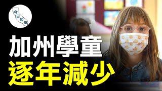 加州公立學校入學率下降 今年再減11萬人｜今日加州