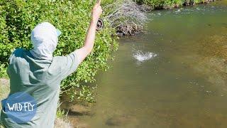 Solo Dry Fly Fishing & Camping Utah