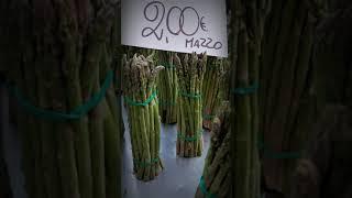 ASPARAGUS FOR SALE | ASPARAGI NEL MERCATINO #SHORTS #LAFUELCOVERS