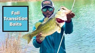 Catch And Locate 3X More Bass With These 3 Baits For September |Bank Fishing