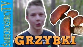 Grzybobranie-,,by Śmiechożercy TV"-Video śmieszek