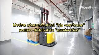 Pharmaceutical companies warehouse storage rack | Aceally