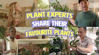 6 houseplant pros share their favourite — and most unique — plants | Houseplanted