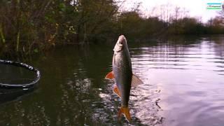 Roach On The Waggler in Winter