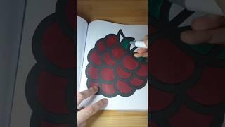 color a raspberry with me #coloring #coloringbook #coloringpages #asmrcoloring #coloringwithme #asmr