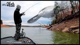 Finding Prespawn Bass on Highland Reservoirs with Shad Raps