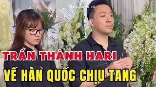 Trấn Thành đau xót báo tin Hari Won về Hàn Quốc lo Đám Tang người thân - TIN GIẢI TRÍ