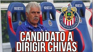 INCREÍBLE Ponen al Tuca candidato a dirigir Chivas | rumores chivas