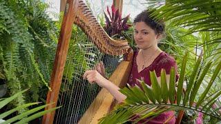 Wonderful, Merciful Savior (Harp Cover) - Stephanie Claussen