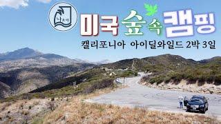 미국 숲속캠핑장에서 부부 캠핑 / Idyllwild 미국 캠핑장 추천 / 2박 3일 현실 캠핑로그 / 미국현실캠핑 / 미국부부캠핑 / 캘리포니아 숲속캠핑장 추천