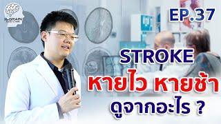 EP.37 STROKE หายไว หายช้า ดูจากอะไร l กายภาพบำบัดโรคหลอดเลือดสมอง