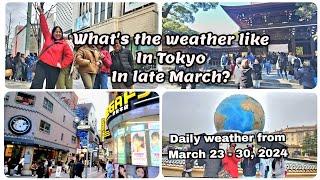 Tokyo, Japan Weather in Late March | Our Fam's Spring experience