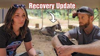 4 Days Since The Incident, How's She Recovering? Ellie May UPDATE Livestock On Our Cabin Homestead