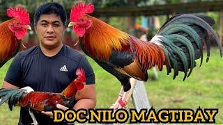 Breeding Season Doc Nilo Magtibay NUM FARM