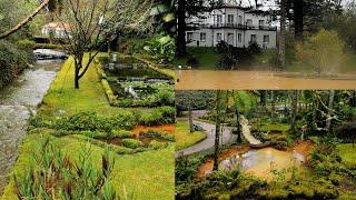 Park Parque Terra Nostra Garden Furnas 2022 Sao Miguel Azores Açores Portugal Panasonic GH6 travel