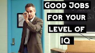 What Kind of Jobs Fit You Depending On Your Level of IQ | Jordan Peterson