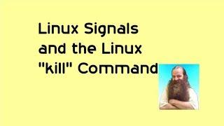 Linux Signals and the Linux kill Command