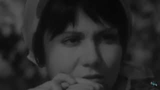 Зачем ты снишься мне…