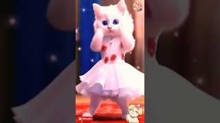 Patli kamariya more hai hai || cute cat dance video || #shorts #cat #shortsfeed