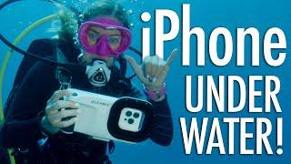 Waterproof iPhone Case! NEW Oceanic+ Dive Housing Review