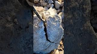 ‼️This was Found in a 500,000,000 year old Dolostone ROCK?!‼️ More Rocks..   #shorts