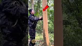 The Shocking Reason This Girl is Peeling a Tree!#ytshorts #shorts #shortfeed