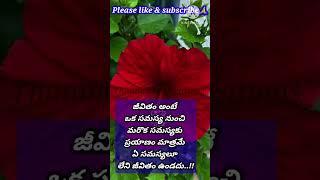 #neethi vakyalu in telugu life changing manchi matalu #vlog