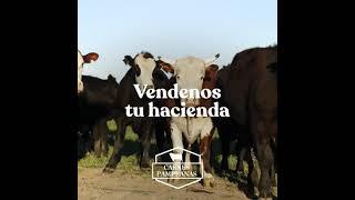 CARNES PAMPEANAS S.A. -