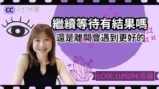 愛情塔羅 他喜歡你嗎  繼續等待好嗎